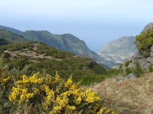 Blackpool Airport begins Madeira route Blackpool Airport begins Madeira route