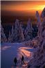 Abta: France no 1 ski destination