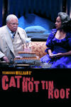 Cat On A Hot Tin Roof